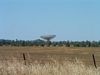 Radio telescope in sheep paddock